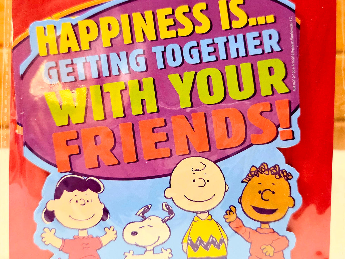 Close-up of packaged Peanuts wall decor with Charlie Brown and friends: "Happiness is... with your friends!"