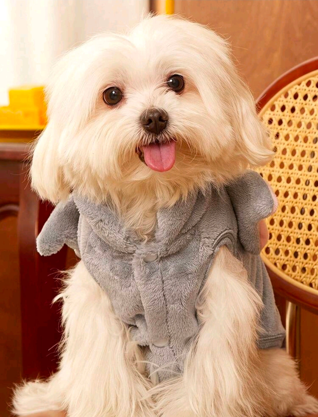 Tom the Cat Plush Hoodie Dog Costume Sweater — Size XL