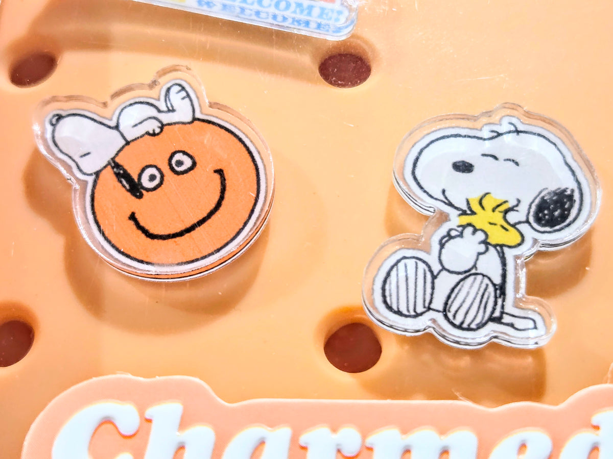 Orange brush charm display tray with Peanuts character acrylic charms and cutouts