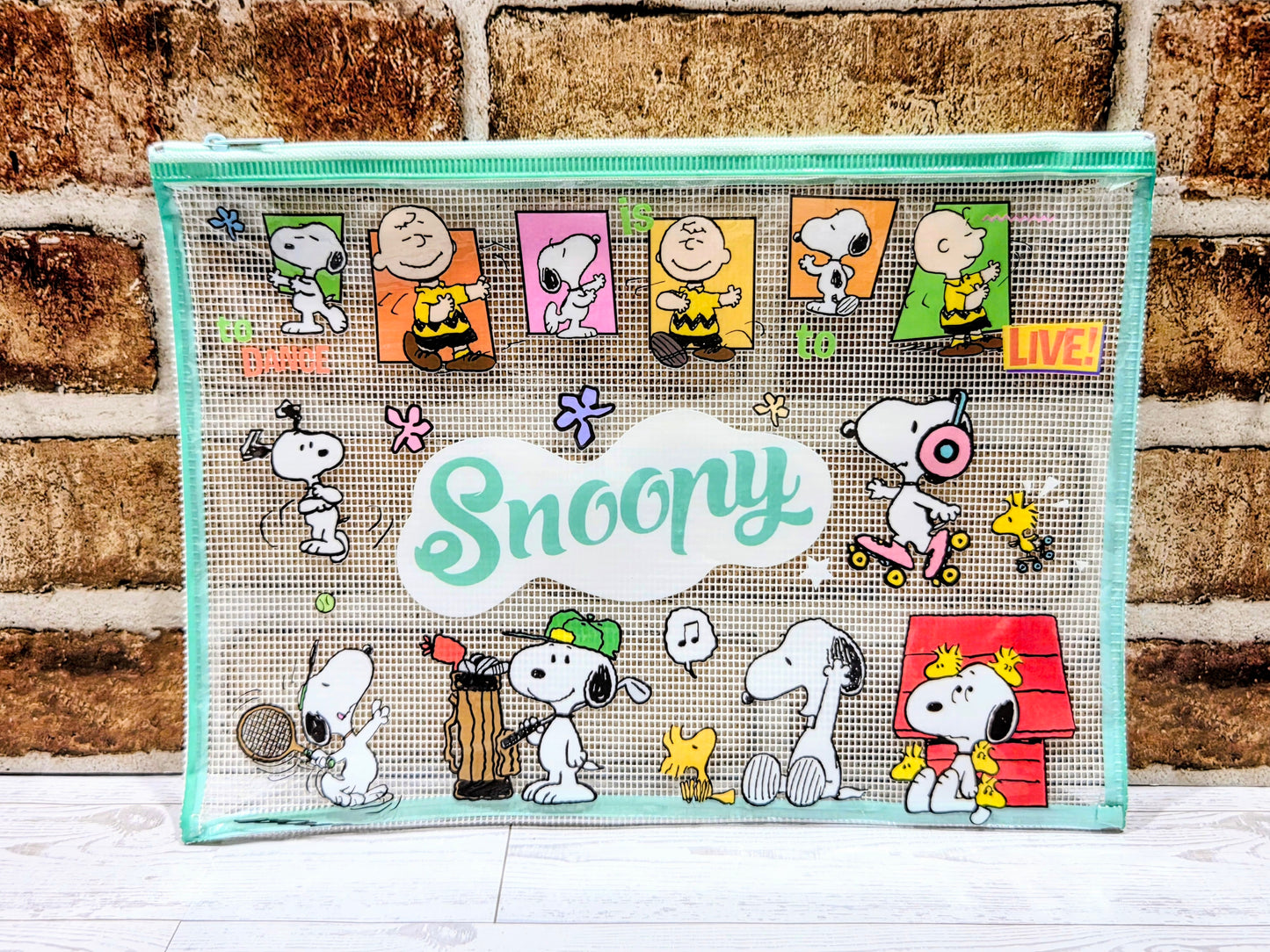 Snoopy Peanuts A4 Mesh Zip Pouch Pencil Case Clear Kawaii Stationery Bag Charlie Brown Woodstock