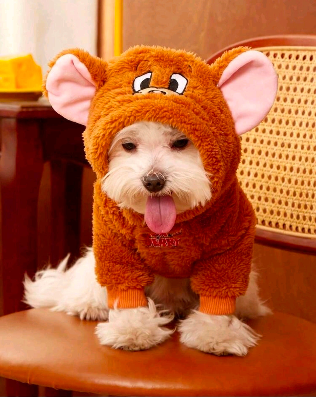 Orange-brown mouse plush dog hoodie with hood up and cartoon face, white dog standing