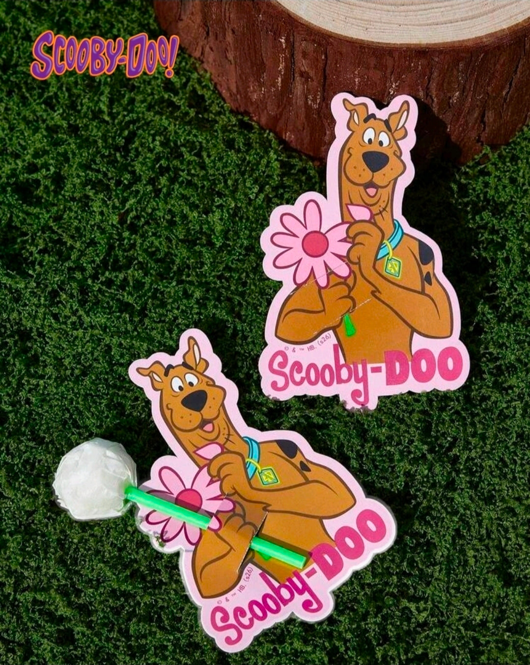 Scooby-Doo Party Favor Cards Set 25 Lollipop Pencil Glow Stick Holder