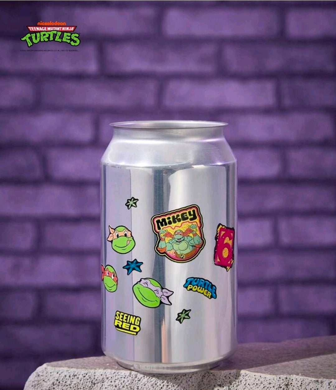 TMNT Teenage Mutant Ninja Turtles Sticker Sheet Set of 2