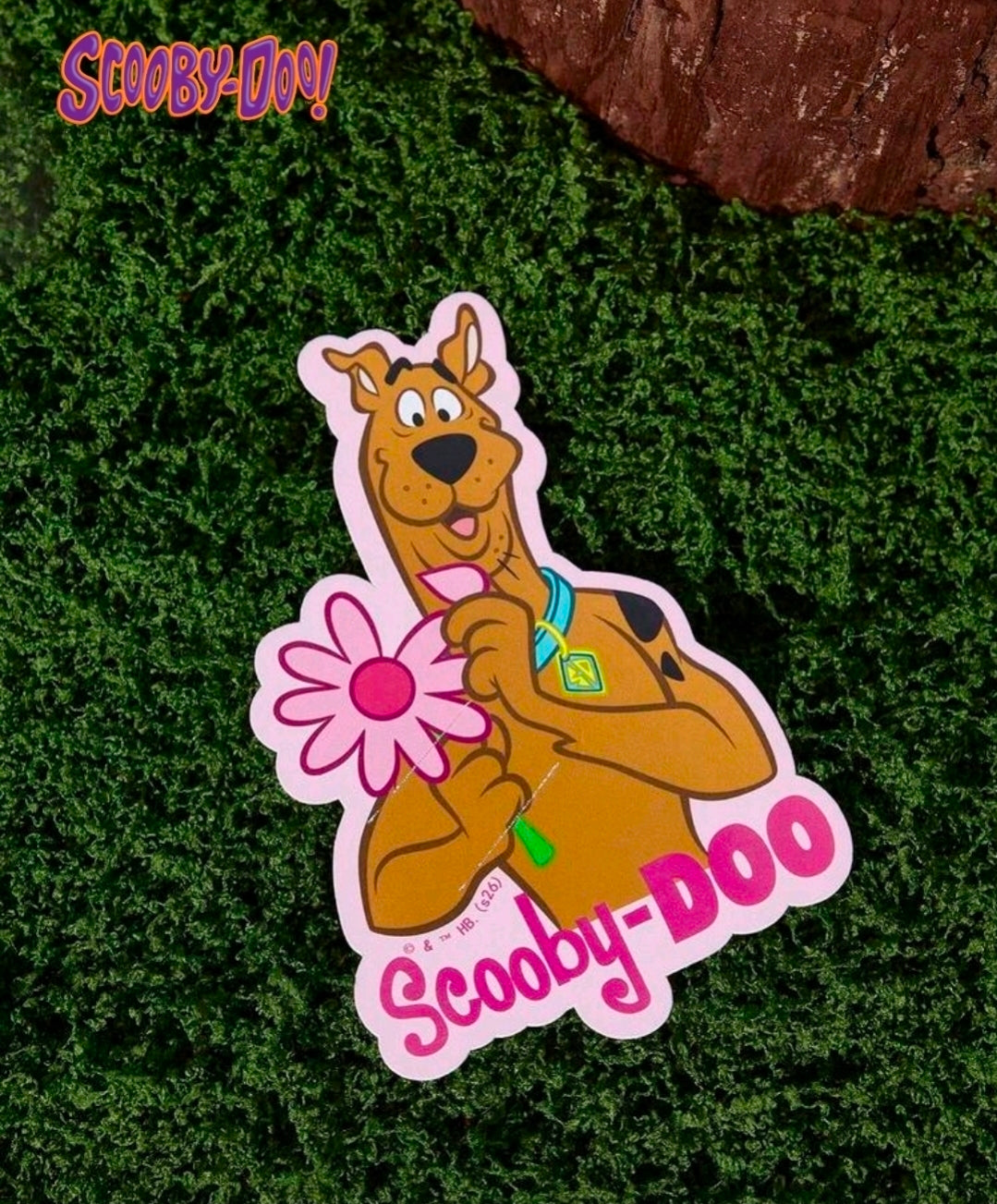 Scooby-Doo Party Favor Cards Set 25 Lollipop Pencil Glow Stick Holder