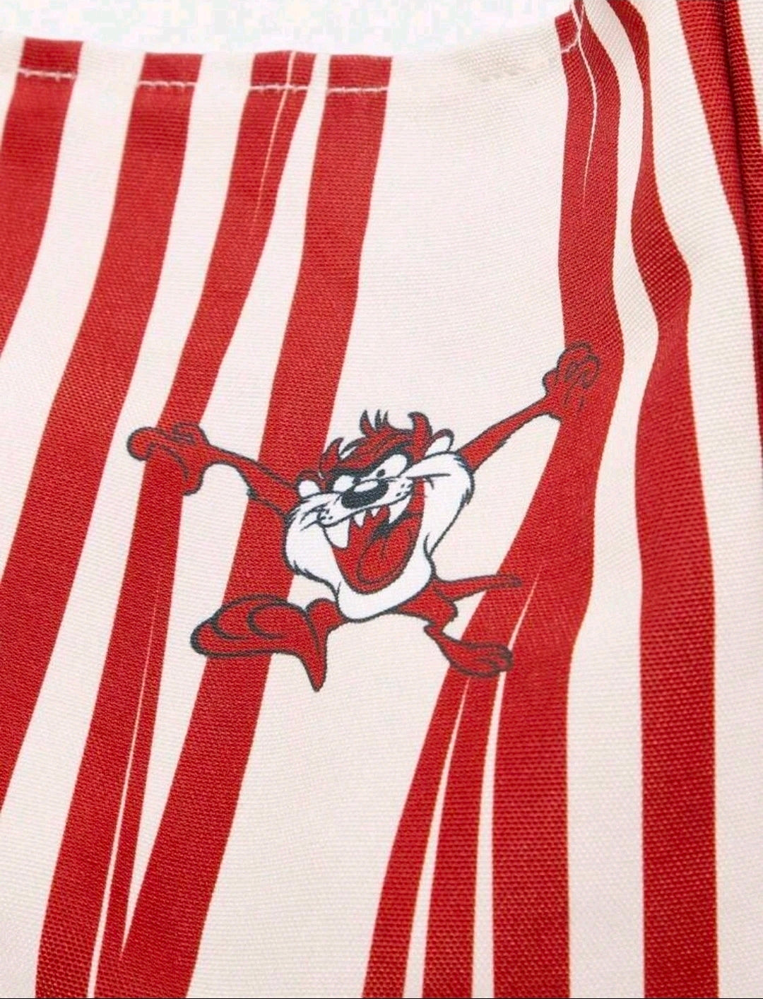Looney Tunes Taz Tasmanian Devil Large Commuter Tote 22x13