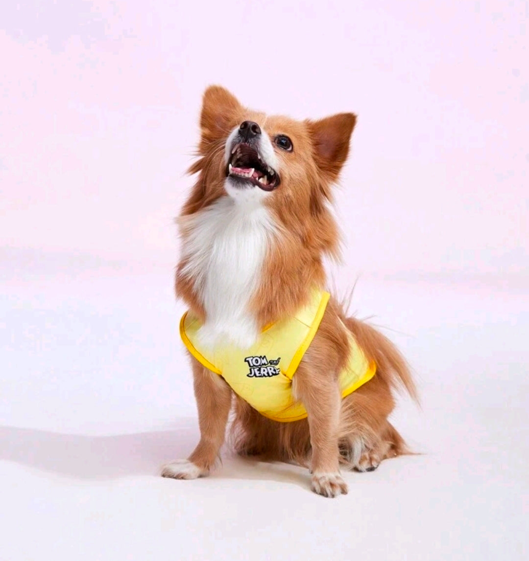 Tom and Jerry Dog Tank Top — Funny Cartoon Pet Shirt Size XL