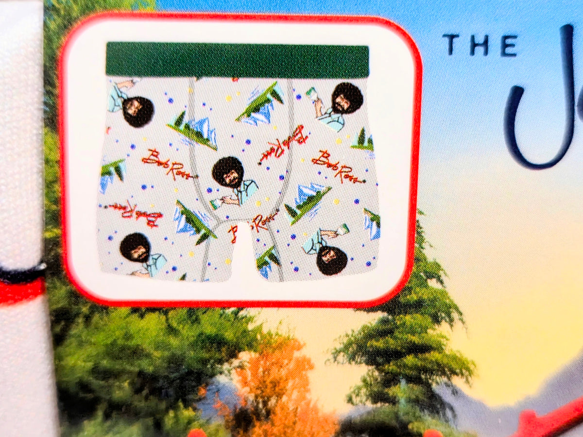 Boxer brief packaging showing cartoon pattern preview in a landscape window