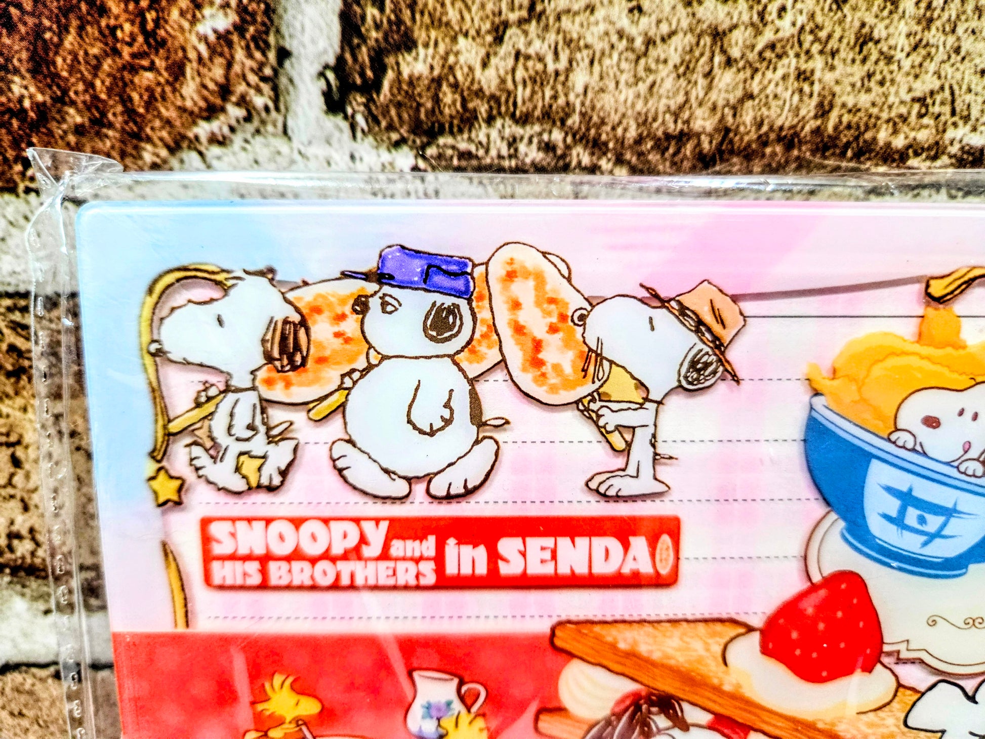 Close-up A5 acrylic shaker notebook page showing Snoopy characters and red text banner.