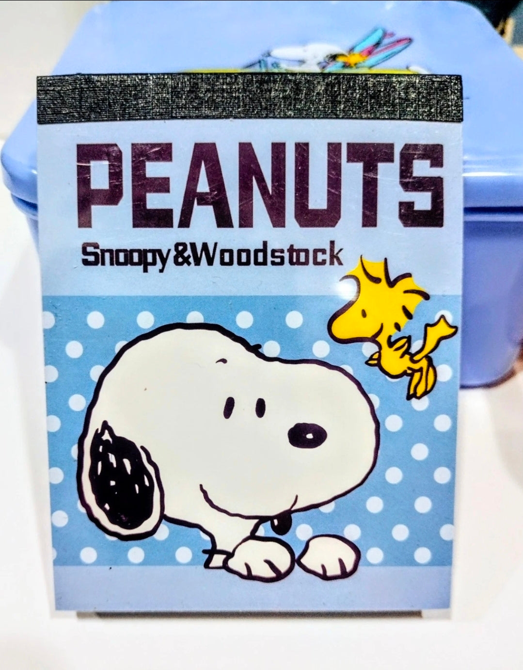 Peanuts Snoopy notebook with “PEANUTS” title and Snoopy & Woodstock cover art