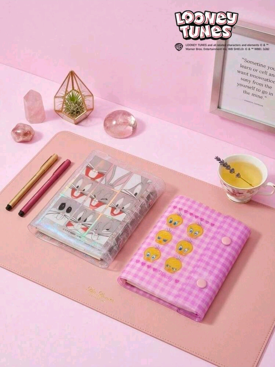 Looney Tunes A7 Transparent 6-Ring Binder 2 Snap Bugs Bunny Tweety Bird