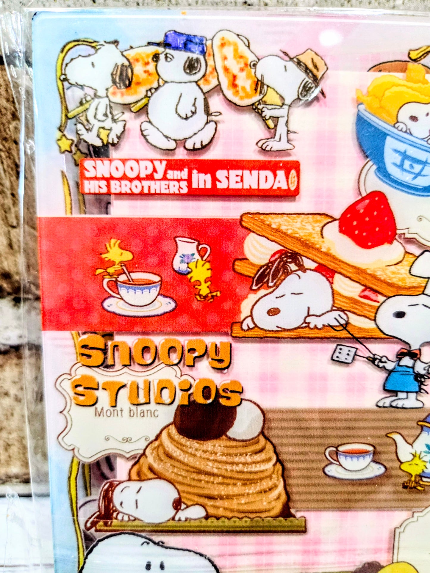 Pink acrylic shaker notebook close-up with Snoopy in Senda dessert scene on cover