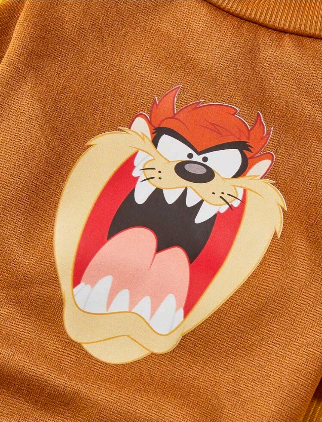 Looney Tunes Taz Tasmanian Devil Dog Sweatshirt — Pet Sweater XXL