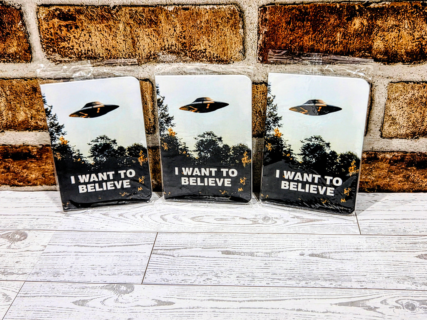 X-Files I Want To Believe Mini Journal Set of 3 Loot Crate Notebooks UFO