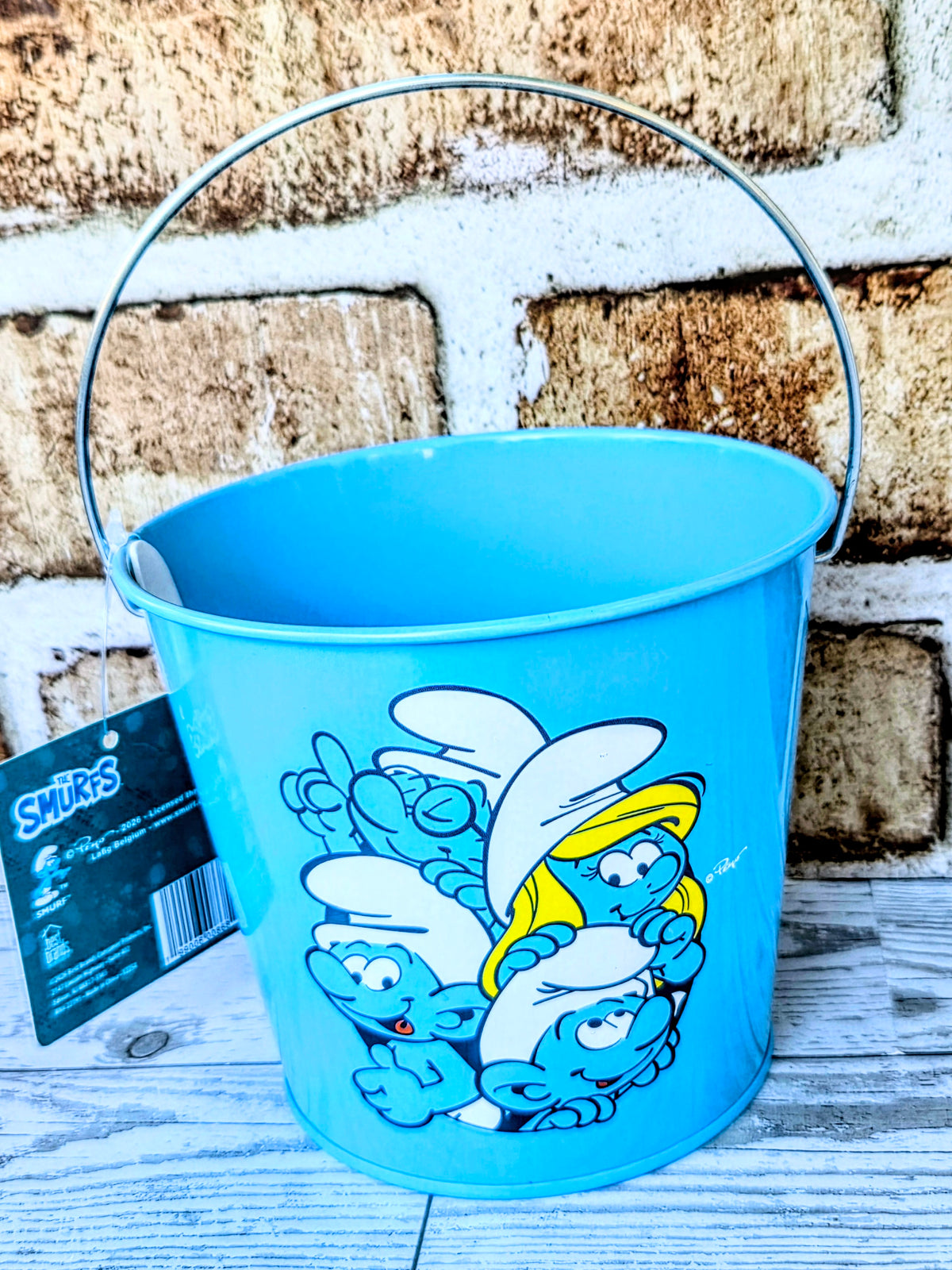 Blue plastic bucket with cartoon character print and wide handle