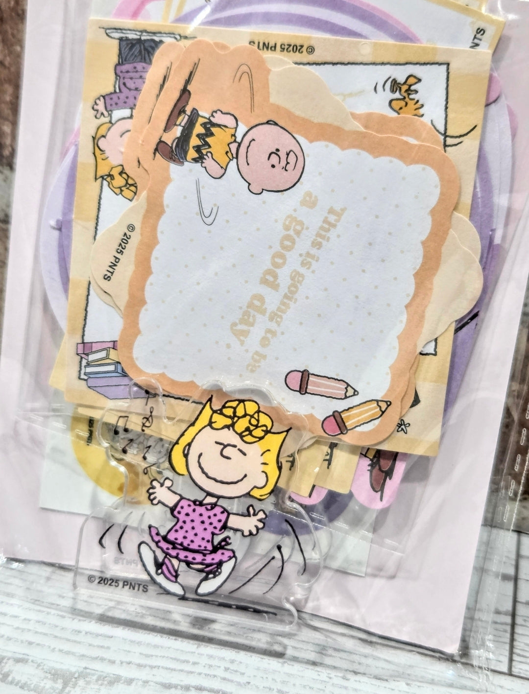 Peanuts memo and sticker sheets set in clear pack with Snoopy and friends