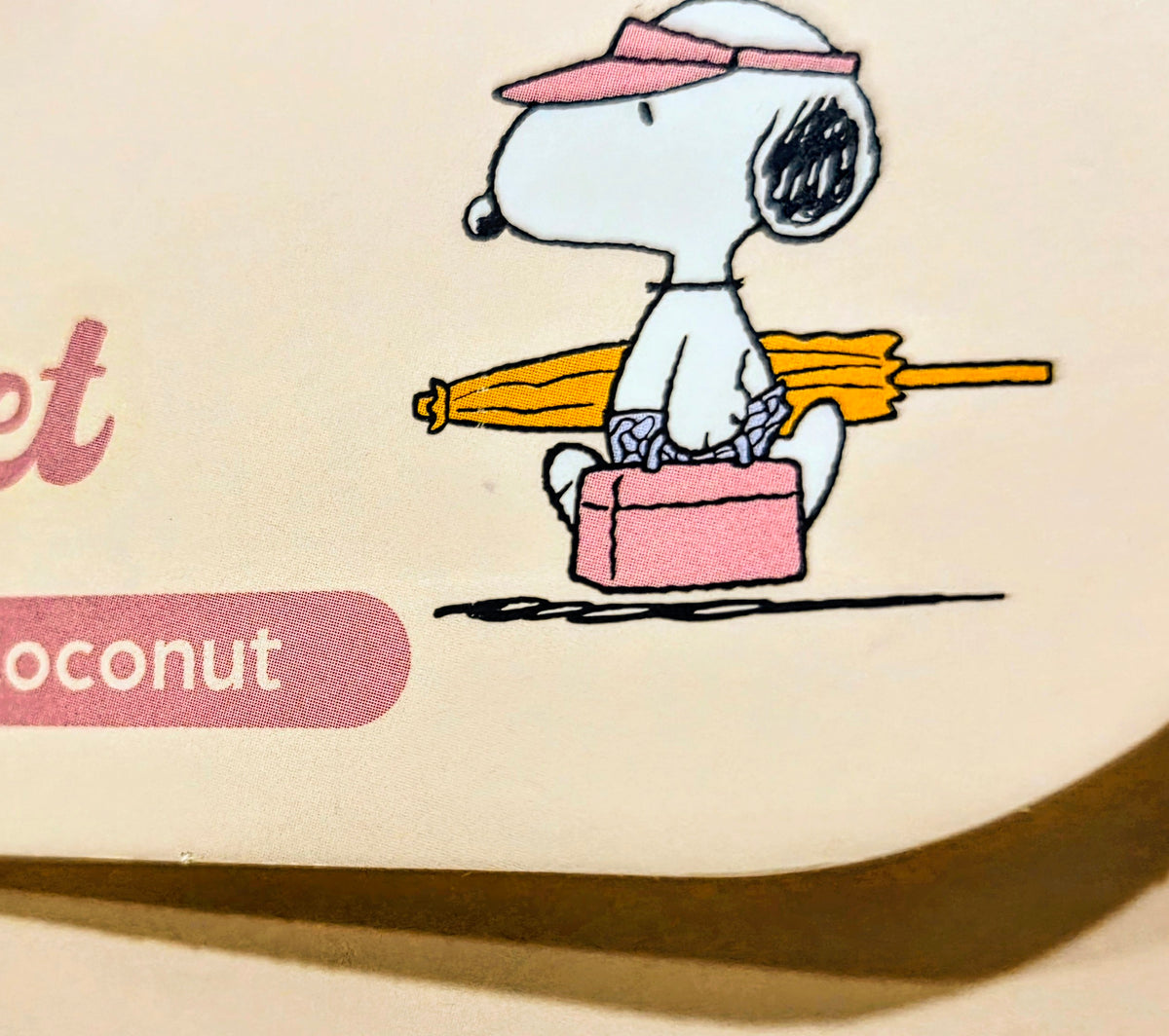 Snoopy Beach Day lip gloss set box art with Snoopy holding a pink tube