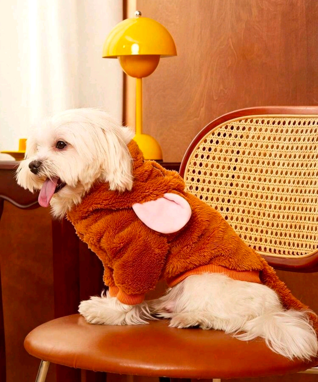 Orange-brown mouse plush dog hoodie with hood up on white dog, seated side view