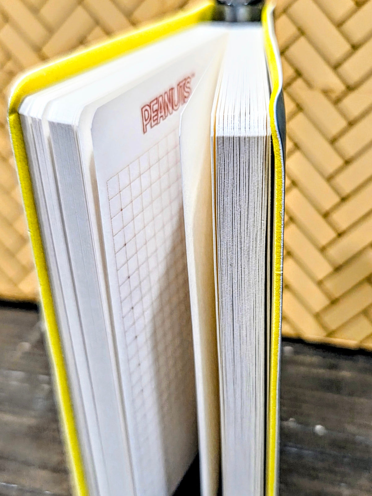 Pocket field notebook with white back panel, red 'PENGUINS' text, and grid section