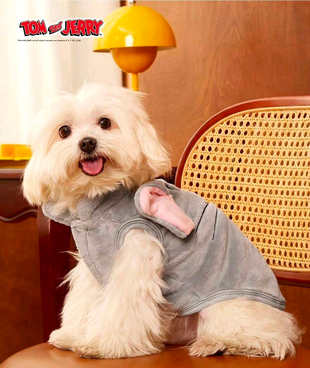 Tom the Cat Plush Hoodie Dog Costume Sweater — Size XL